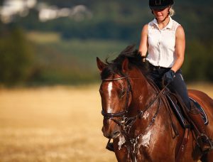 A Vet’s Guide on Summer Horse Health Care Strategies