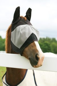 Summer Horse Health - Fly Mask