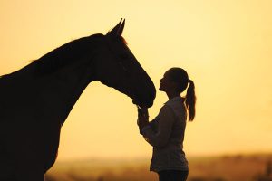 Rider and horse at sunset.