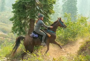 The Tevis Cup: A 100-Mile Endurance Ride Like No Other