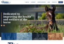 The Foundation for the Horse