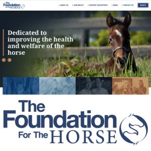 AAEP Foundation Renamed The Foundation for the Horse