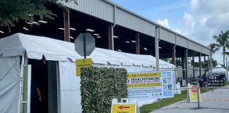 thermal camera checkpoints for COVID-19 within the horse show industry