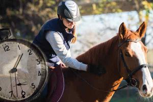 Time-Challenged Equestrians at the Barn