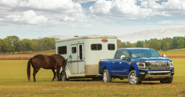 Horse tied a trailer hooked up to a truck