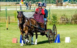 Tracy Bowman and Albrecht’s Hoeve’s Lars Win Gold at FEI Para Driving World Championship