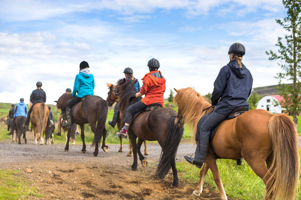 Trail Riding Emergencies