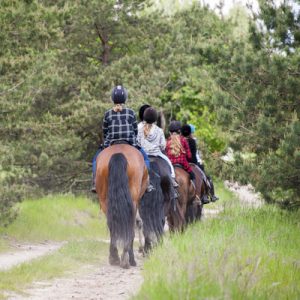 Trail Riding 