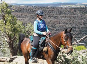 Saving Horse Trail Sports