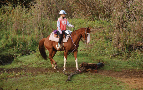 North American Trail Ride Conference - Horse Trail Sports