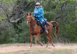 North American Trail Ride Conference - Horse Trail Sports