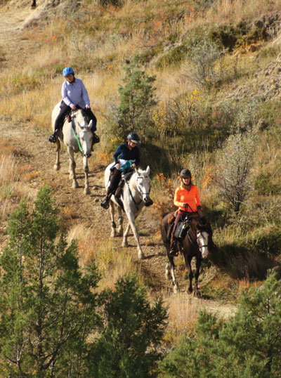 American Endurance Ride Conference