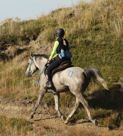 American Endurance Ride Conference