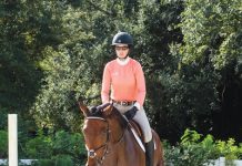 Horse Riding Transitions