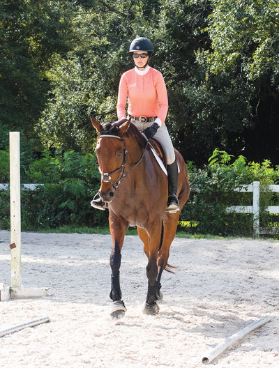 Horse Riding Transitions
