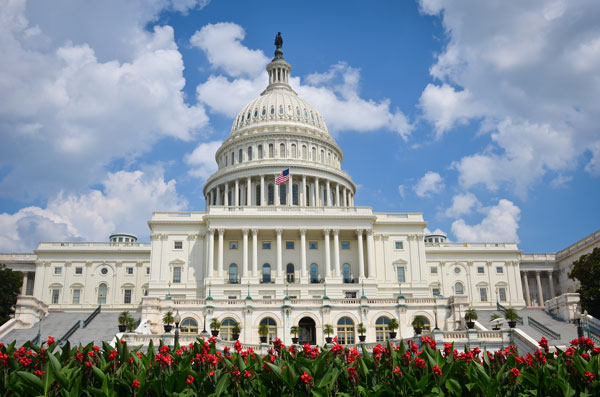 US Capitol Building 