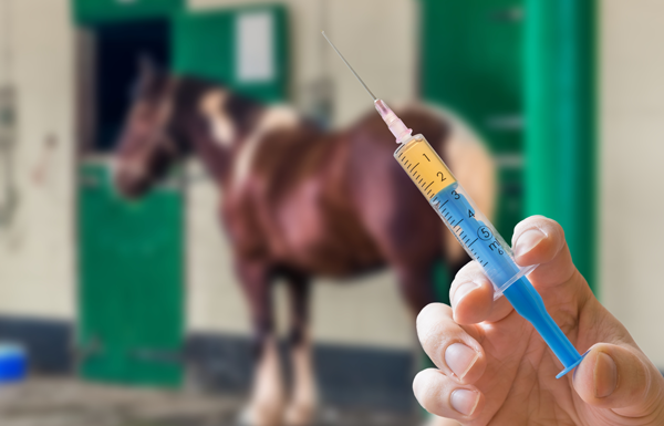Risk of Rabies in Horses