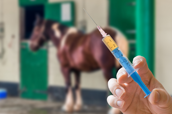 Risk of Rabies in Horses