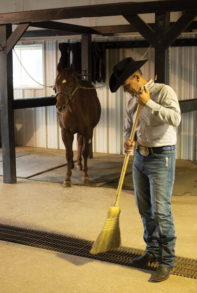 Teaching Horse to Work with a Veterinarian