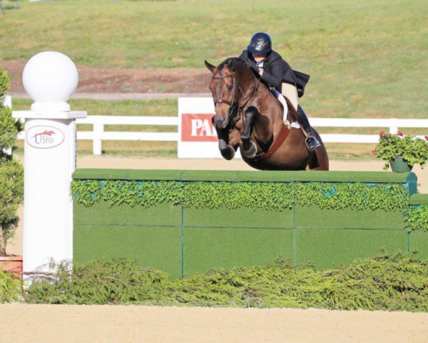 Victoria Colvin aboard El Primero, U.S. Equestrian National Horse of the Year