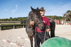 Getting Started with Volunteering at Horse Rescues