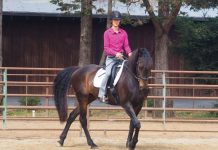 Mounted Walking Exercises with Your Horse