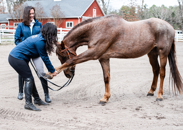 Massage Therapist Heather Wallace works on Ari