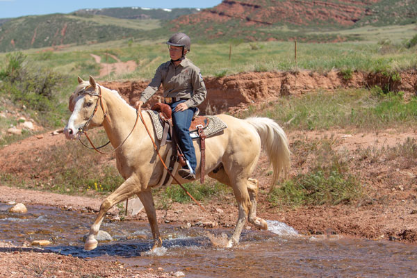 Teaching a Horse to Cross Water