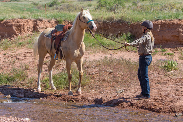 Horse balking at water