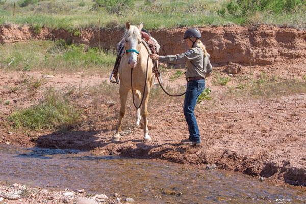 Getting a Horse to Cross Water