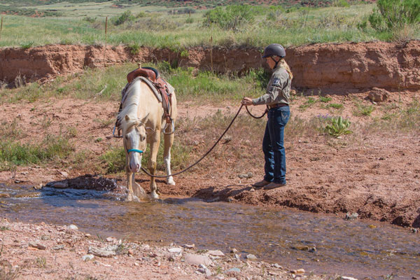 Taking Time at a Stream