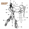 Parts of the English and Western Saddle and Bridle - Horse Illustrated