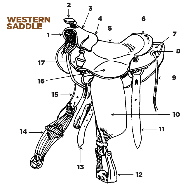 printable-parts-of-a-western-saddle