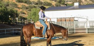 Western Trail Class Dos and Don'ts