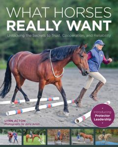 What Horses Really Want book