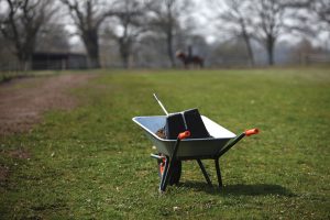 Wheelbarrow with horse manure.