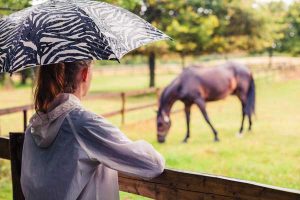 Horse in rain during winter