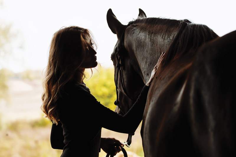 Woman and Horse - Going Through a Divorce with a Horse