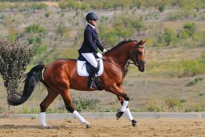 Woman riding horse.