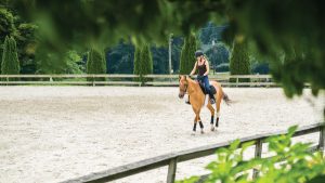 Woman riding a horse in an arena.