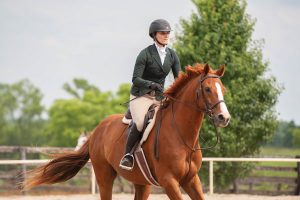 Woman riding horse in arena.