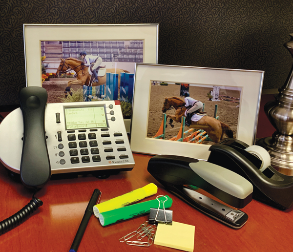 Work Life Horse Balance - Desk Photo