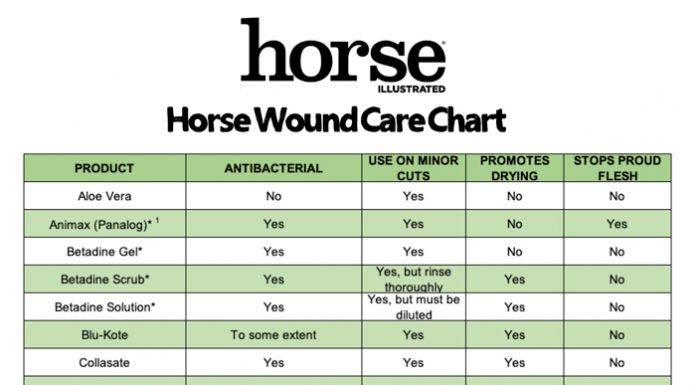 Wound Care Chart 2020