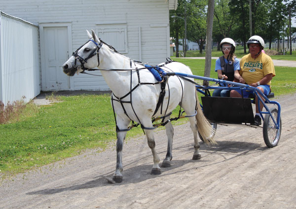 Harness Horse Youth Association
