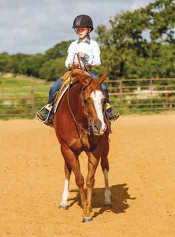 Western Horse Sidepass