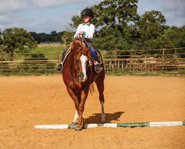 Western Horse Sidepass Over Pole